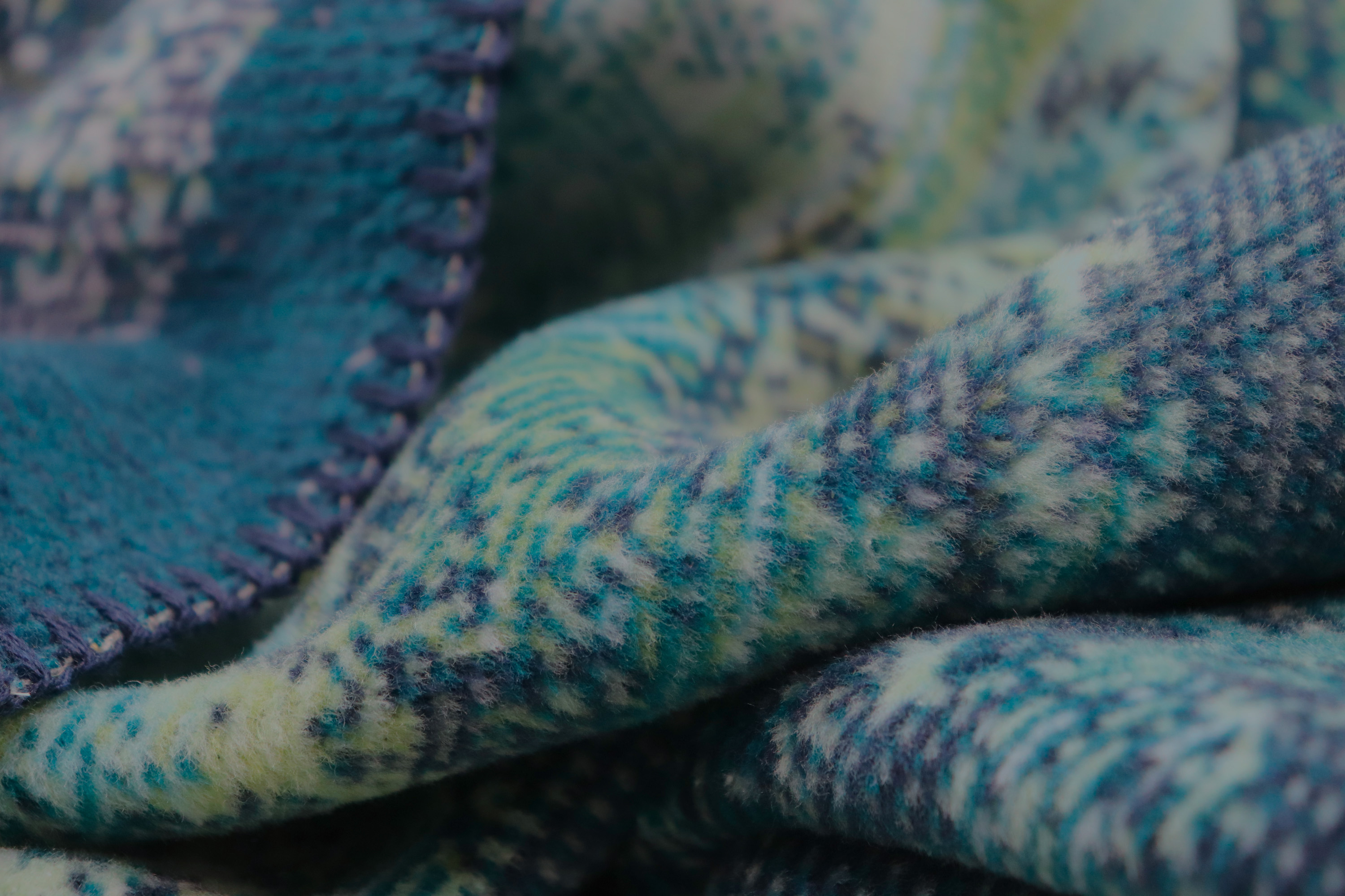 Wohndecke Cosmos Nahaufnahme Flor