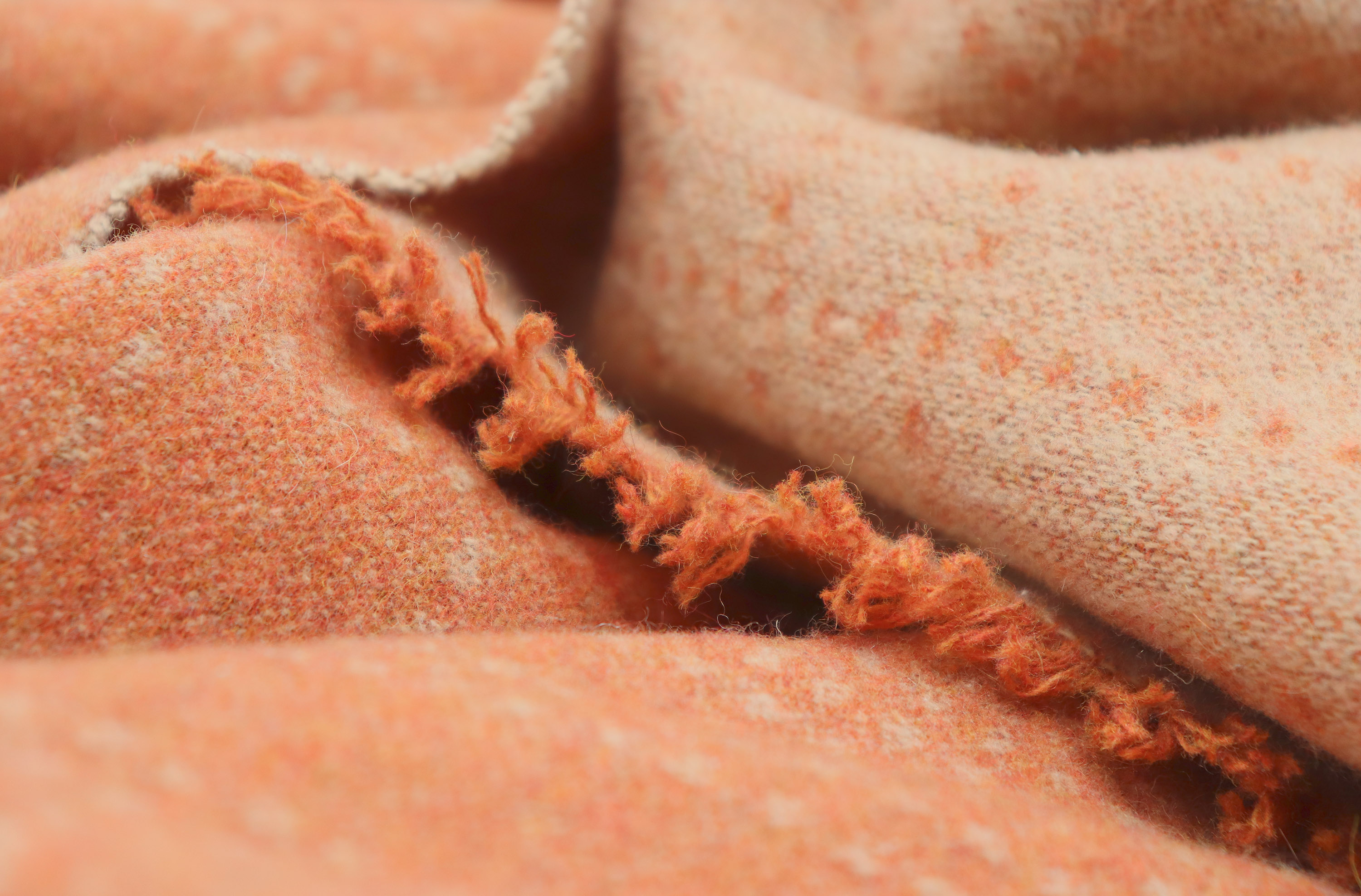 Fransenplaid Nore in terra Nahaufnahme Flor